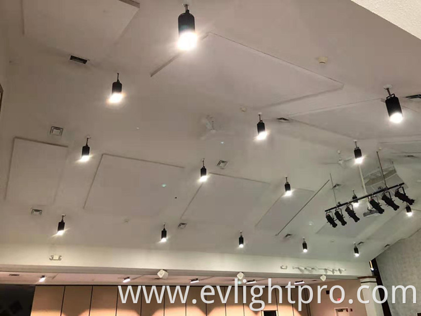 DMX control wireless optional 110W RGBW LED ceiling light house light popular in USA market